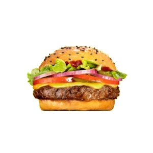 MEATLESS ORIGINAL BURGERS